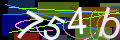 captcha 1791063257